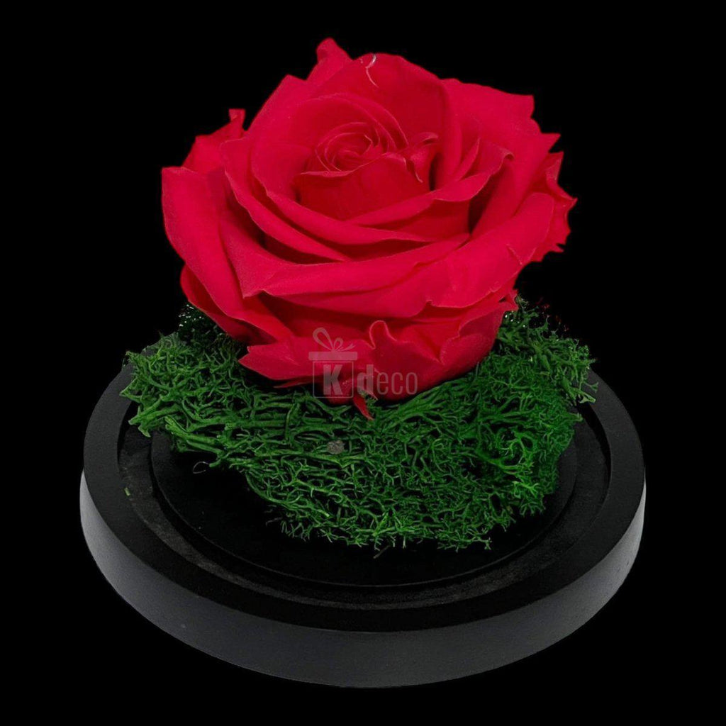 Trandafir Criogenat Premium Roz Inchis în Cupolă de Sticlă - 8cm - Kdeco.ro