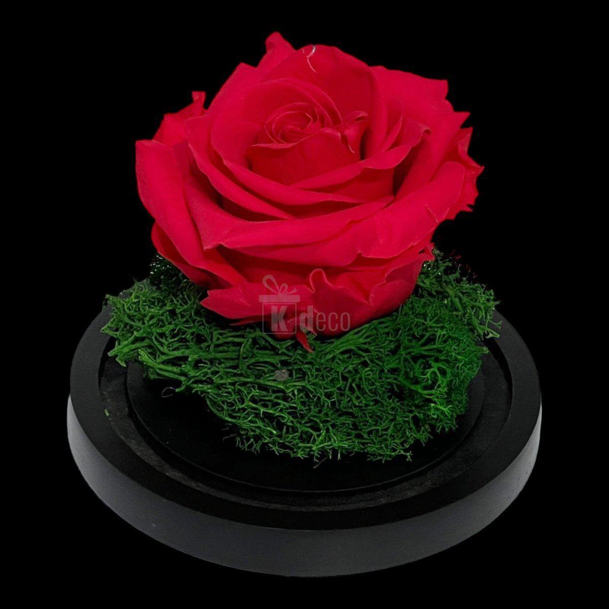 Trandafir Criogenat Premium Roz Inchis în Cupolă de Sticlă - 8cm - Kdeco.ro