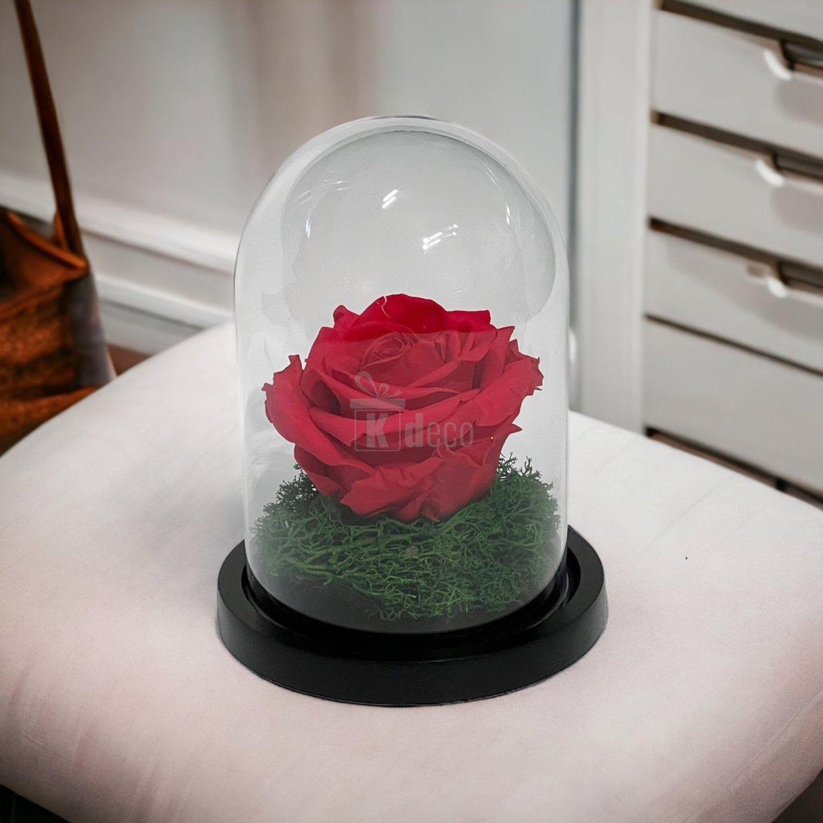 Trandafir Criogenat Premium Roz Inchis în Cupolă de Sticlă - 8cm - Kdeco.ro