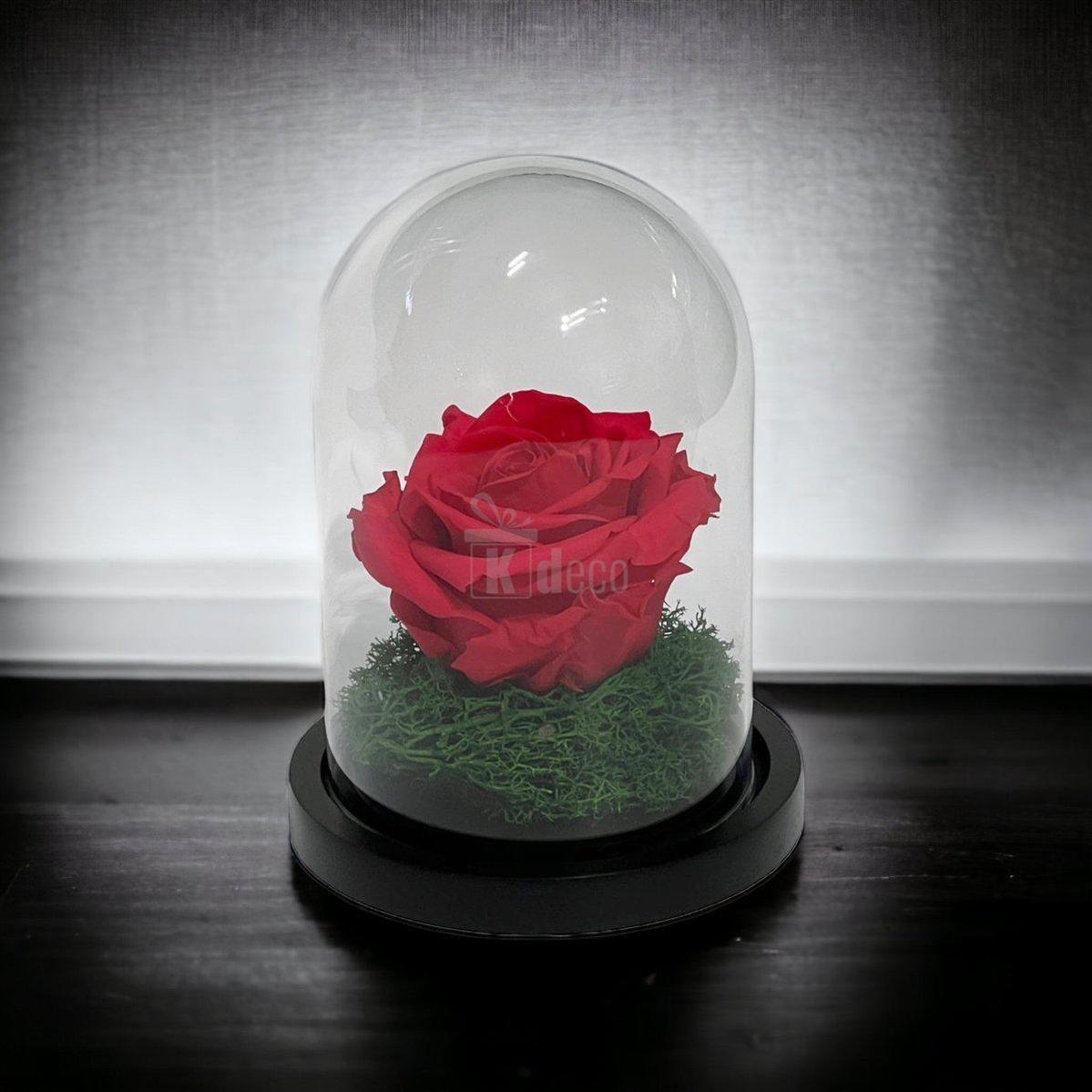 Trandafir Criogenat Premium Roz Inchis în Cupolă de Sticlă - 8cm - Kdeco.ro