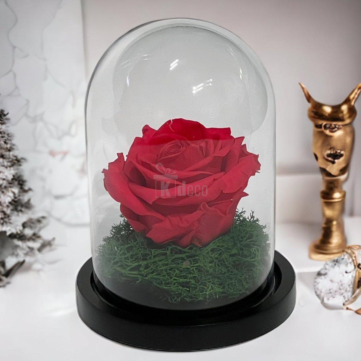 Trandafir Criogenat Premium Roz Inchis în Cupolă de Sticlă - 8cm - Kdeco.ro