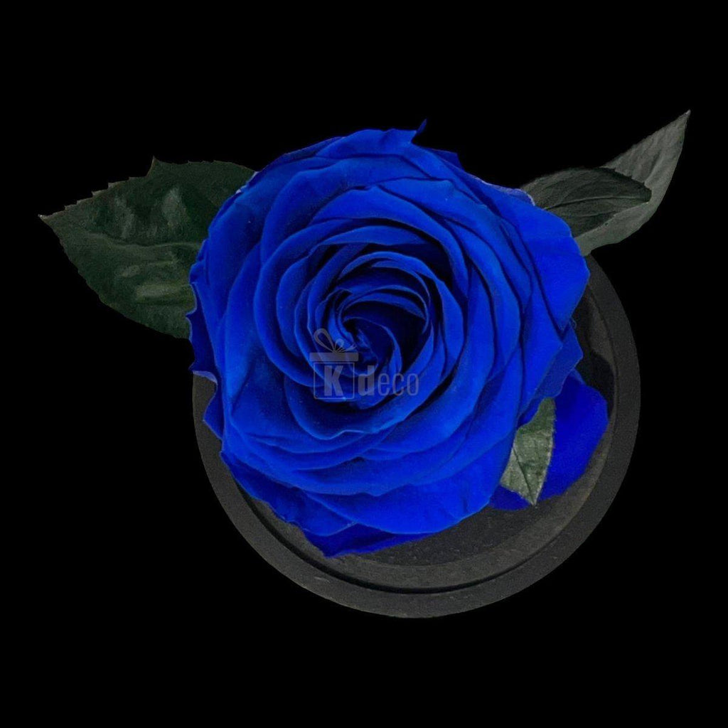 Vedere de sus a Trandafirului Criogenat Etern Albastru Premium de 8cm, cu petale intense și frunze naturale, ideal pentru cadouri elegante.