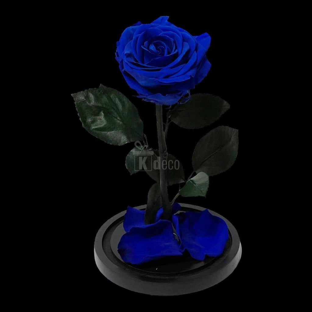 Trandafir Criogenat Etern Albastru Premium de 8cm pe suport negru, ideal pentru cadouri romantice și decor elegant de interior.