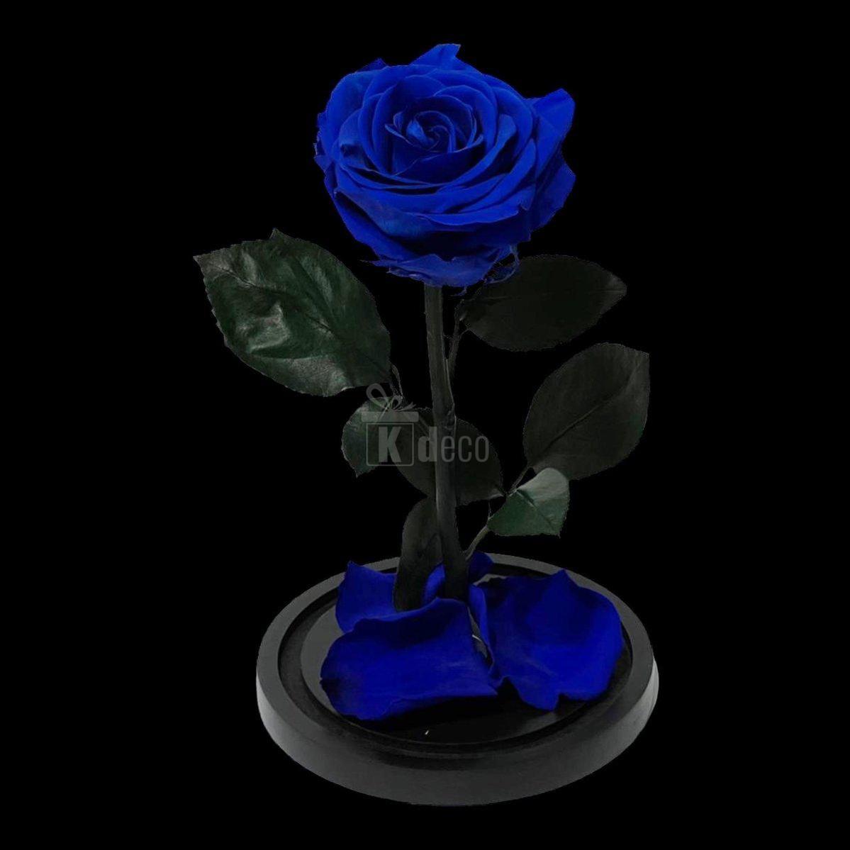 Trandafir Criogenat Etern Albastru Premium de 8cm pe suport negru, ideal pentru cadouri romantice și decor elegant de interior.