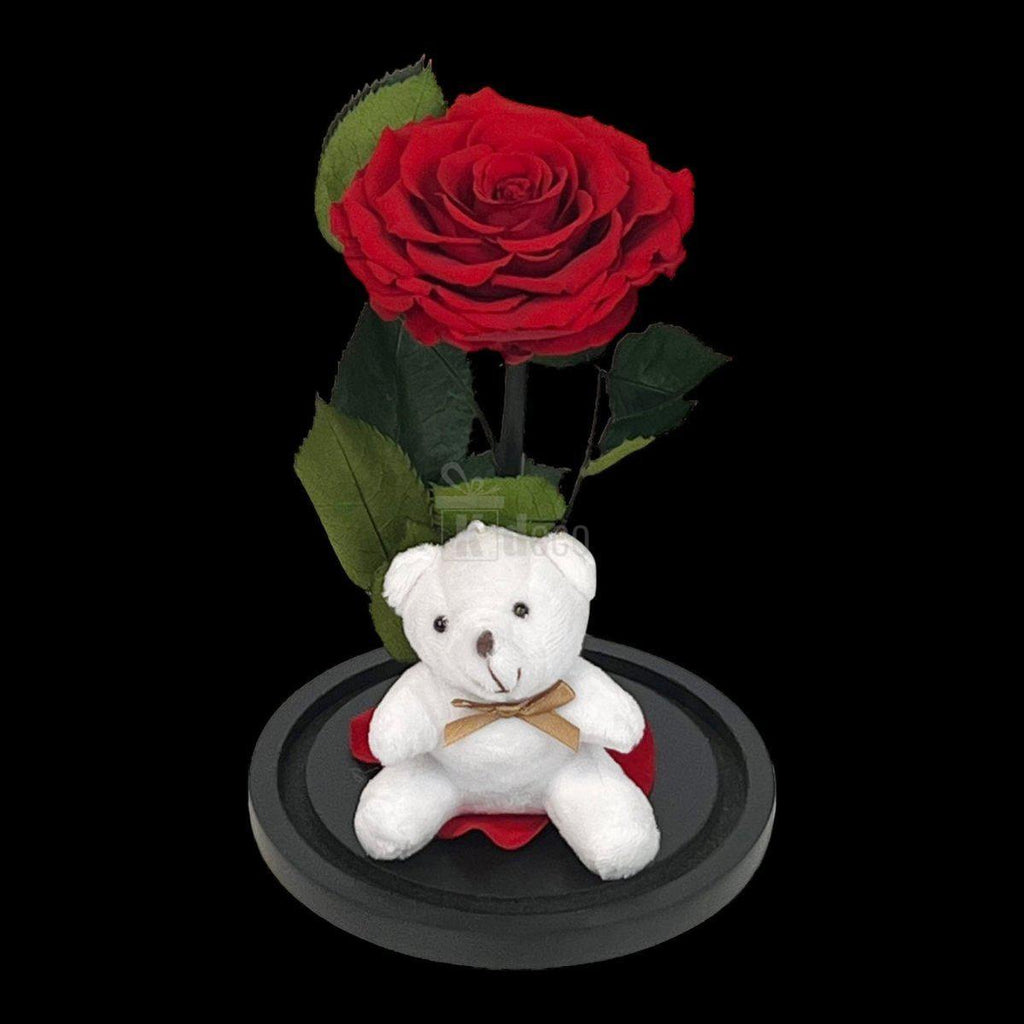 Trandafir Criogenat Nemuritor Bonita Rosu in Cupola Mare cu Ursulet - Kdeco.ro