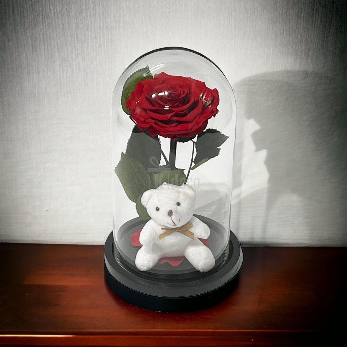Trandafir Criogenat Nemuritor Bonita Rosu in Cupola Mare cu Ursulet - Kdeco.ro