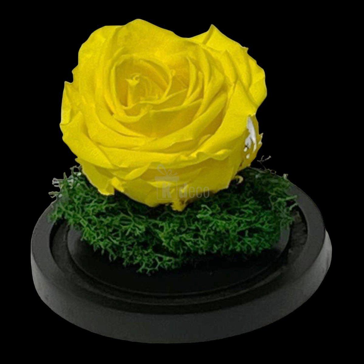 Trandafir Criogenat Nemuritor Premium Galben - 8cm, Cupola de Sticlă - Kdeco.ro