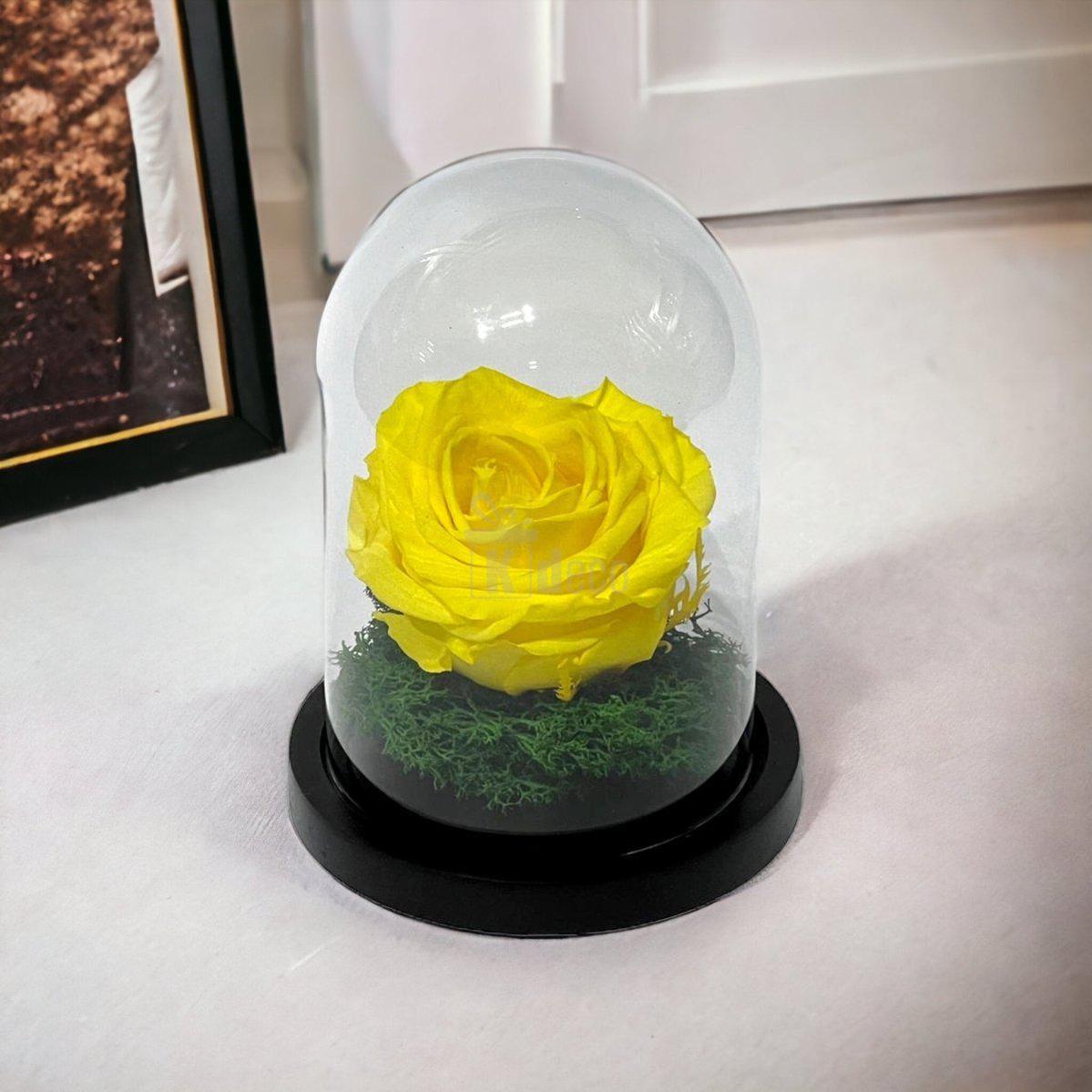 Trandafir Criogenat Nemuritor Premium Galben - 8cm, Cupola de Sticlă - Kdeco.ro