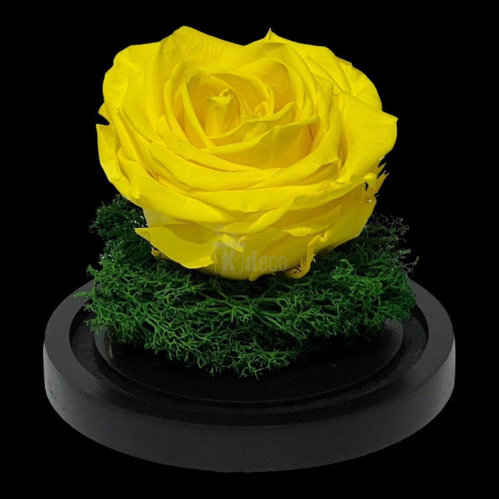Trandafir Criogenat Nemuritor Premium Galben - 8cm, Cupola de Sticlă - Kdeco.ro