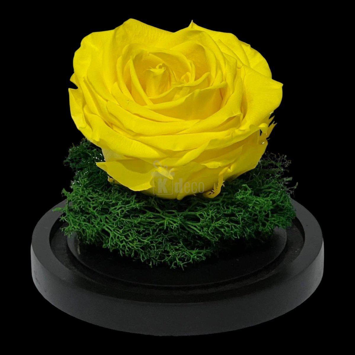 Trandafir Criogenat Nemuritor Premium Galben - 8cm, Cupola de Sticlă - Kdeco.ro