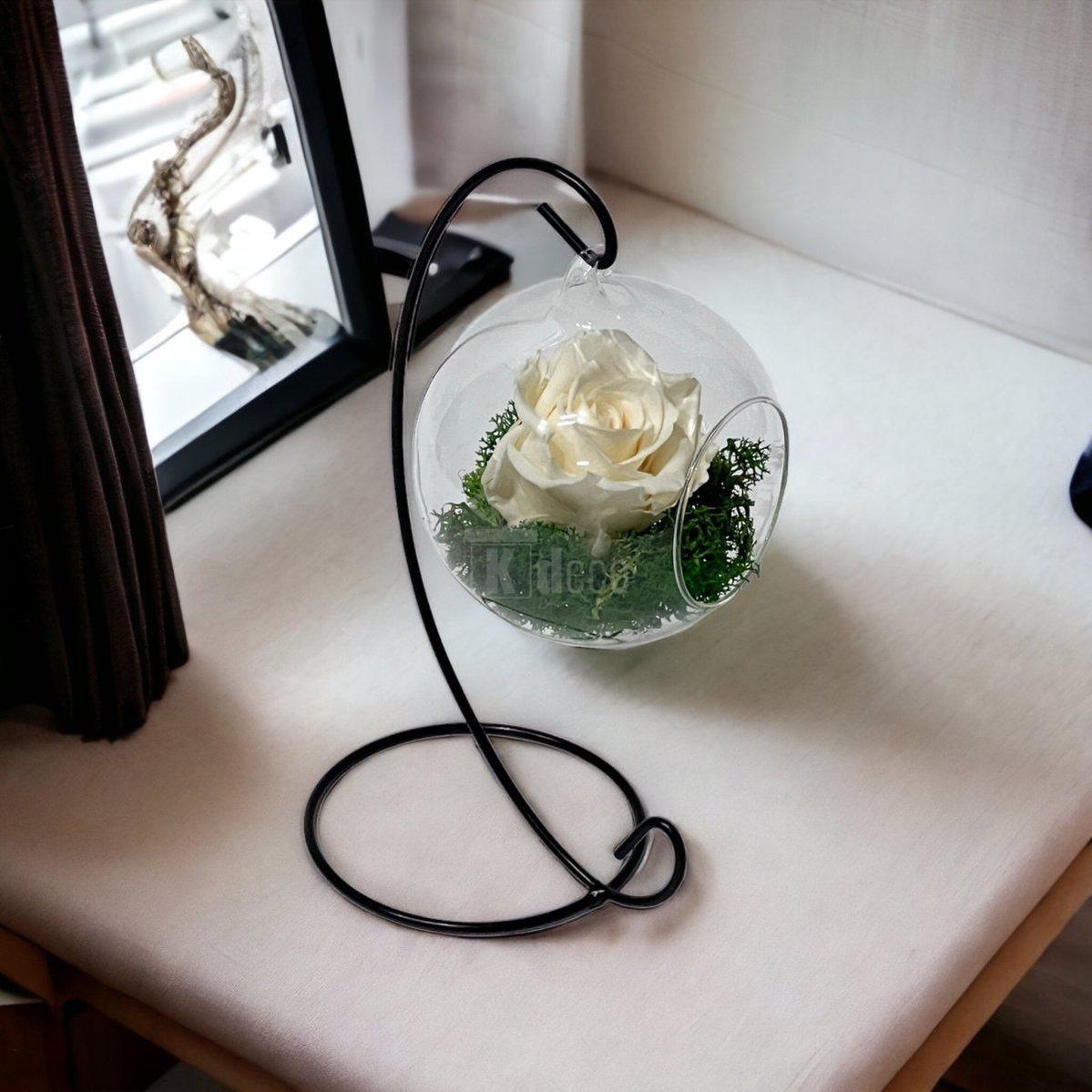 Trandafir Criogenat Nemuritor în Glob de Sticlă Suspendat 10cm, Crem, 25 Ani - Kdeco.ro