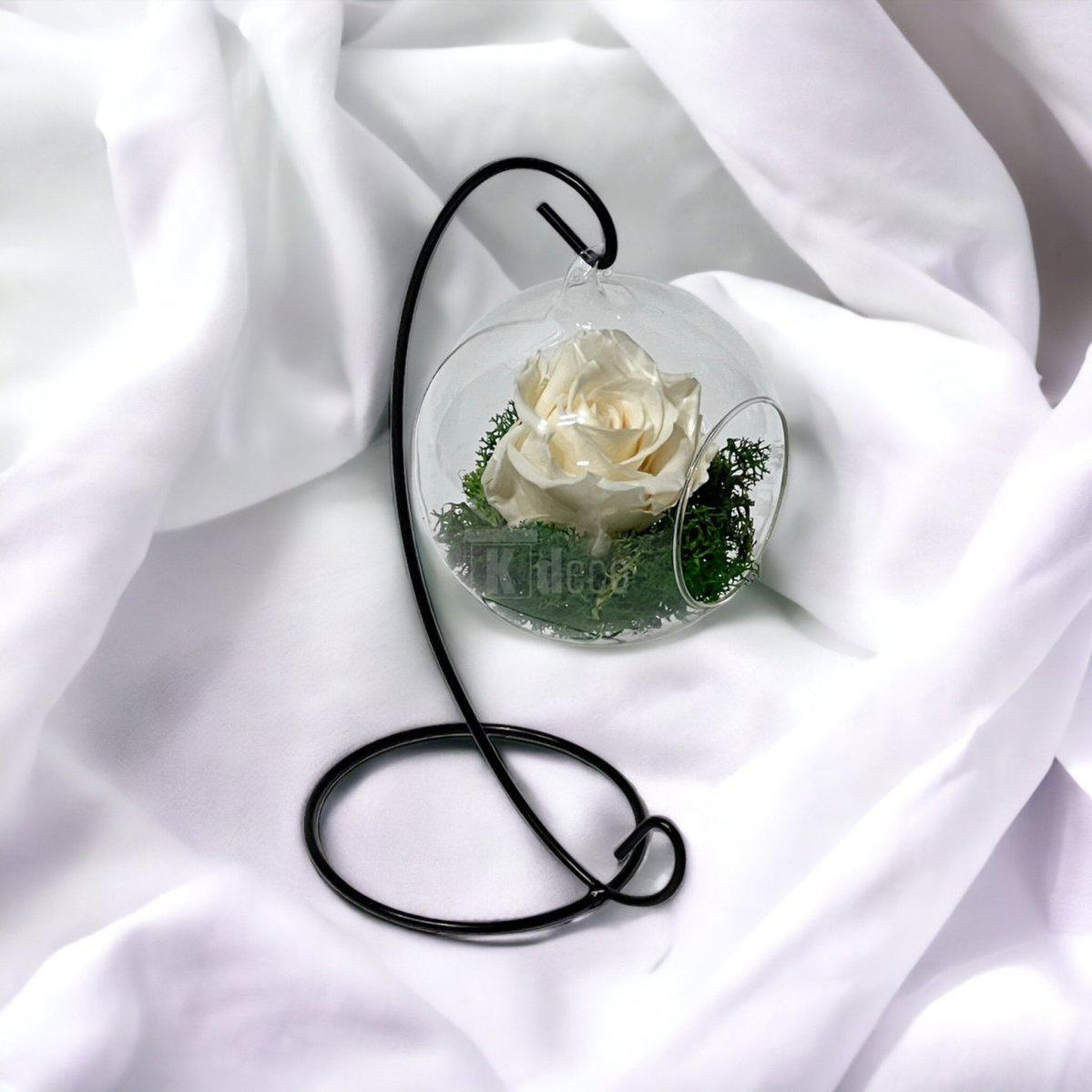 Trandafir Criogenat Nemuritor în Glob de Sticlă Suspendat 10cm, Crem, 25 Ani - Kdeco.ro