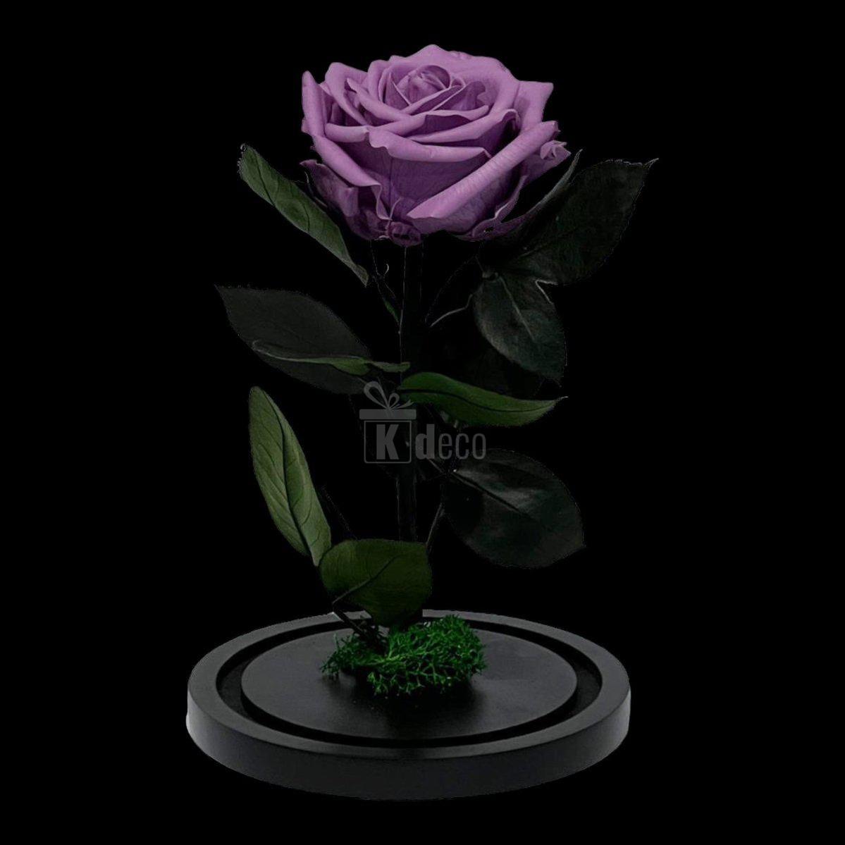 Trandafir Criogenat Etern Lila cu diametru 8cm, expus pe suport negru, ideal pentru cadouri elegante și decor romantic.