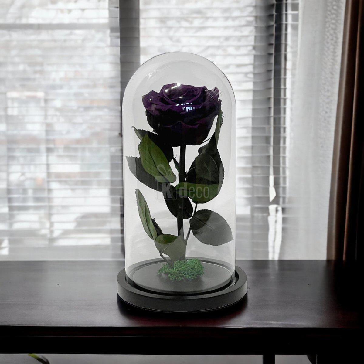 Trandafir Criogenat Etern Mov în cupolă de sticlă, plasat pe masă lângă fereastră, cadou nemuritor pentru femei și aniversări.