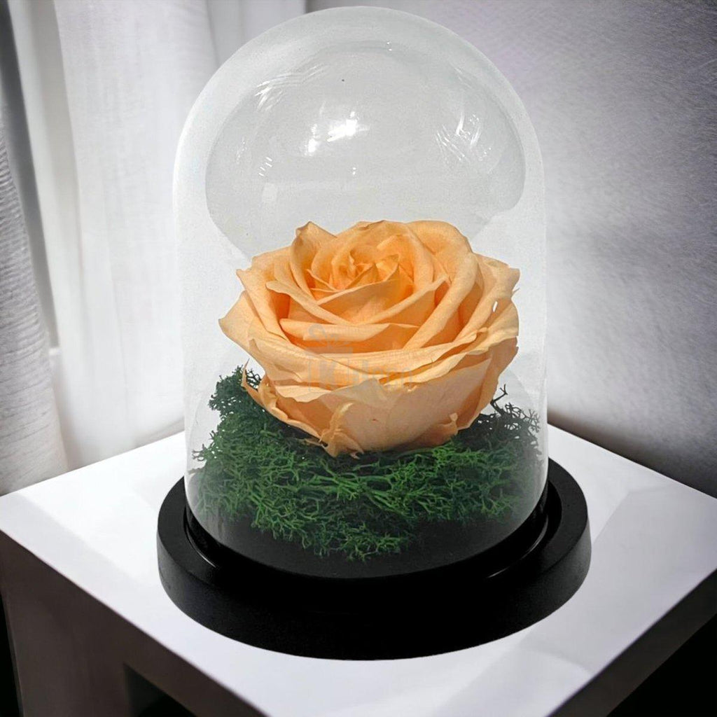 Trandafir Criogenat Nemuritor Premium Piersică în Cupolă de Sticlă - Kdeco.ro