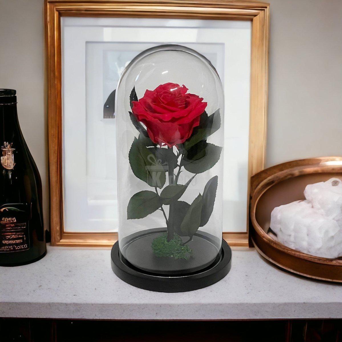 Trandafir Criogenat Etern Premium Roz Închis în cupolă de sticlă, decor de lux pentru cadouri aniversare sau Valentine's Day.