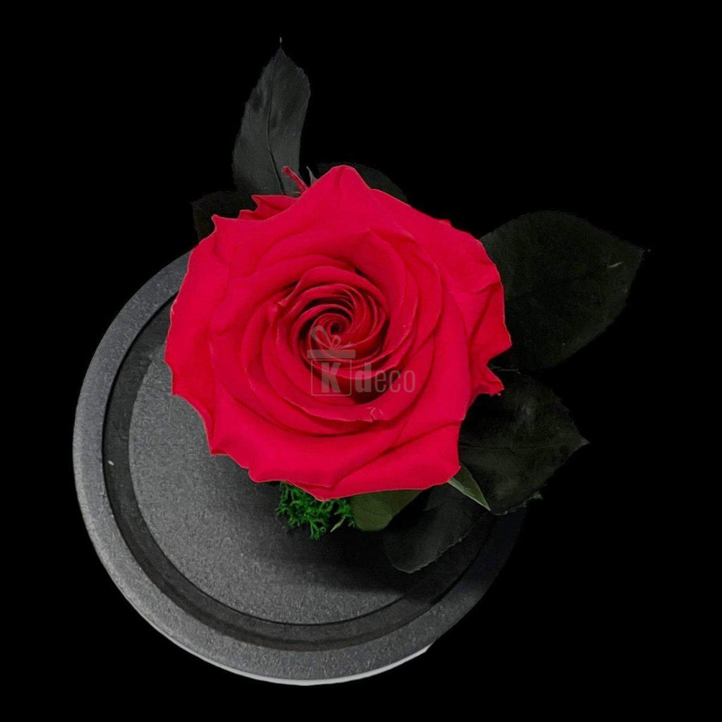 Vedere de sus a Trandafirului Criogenat Etern Premium Roz Închis, detalii florale fine pentru un cadou memorabil.