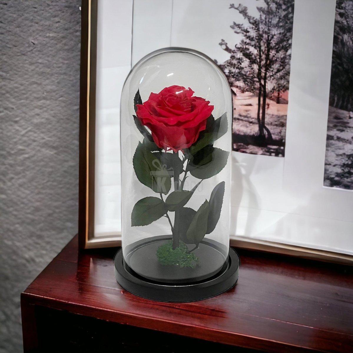 Trandafir Criogenat Etern Premium Roz Închis în cupolă de sticlă, expus pe mobilier modern, perfect pentru decor interior.