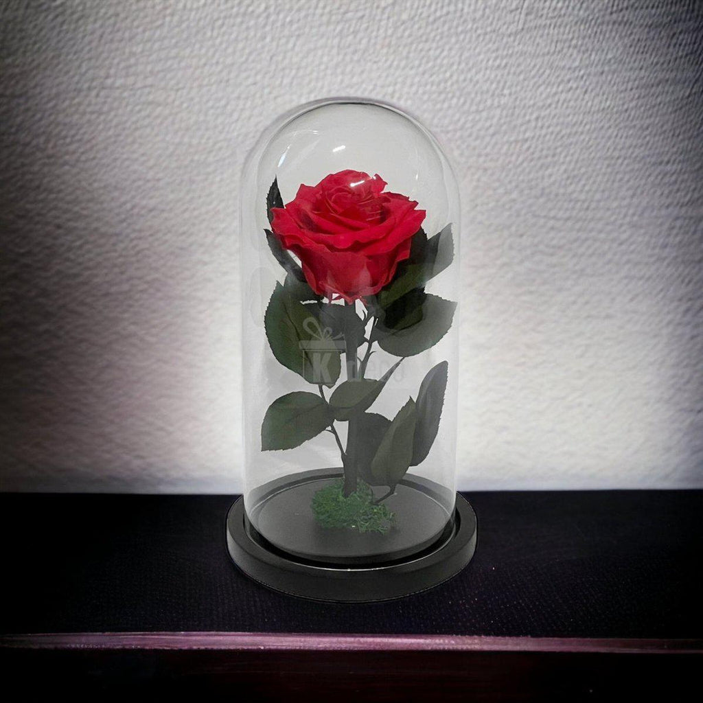 Trandafir Criogenat Etern Premium Roz Închis în cupolă de sticlă, decor elegant pentru ocazii speciale și cadouri de suflet.
