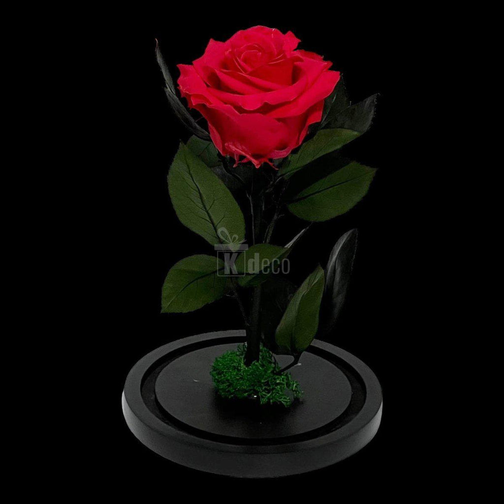 Trandafir Criogenat Etern Premium Roz Închis de 8cm pe suport negru, ideal pentru cadouri romantice și decor elegant.