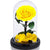 Trandafir Criogenat galben bella Ø8cm in cupola 10x20cm - Kdeco.ro