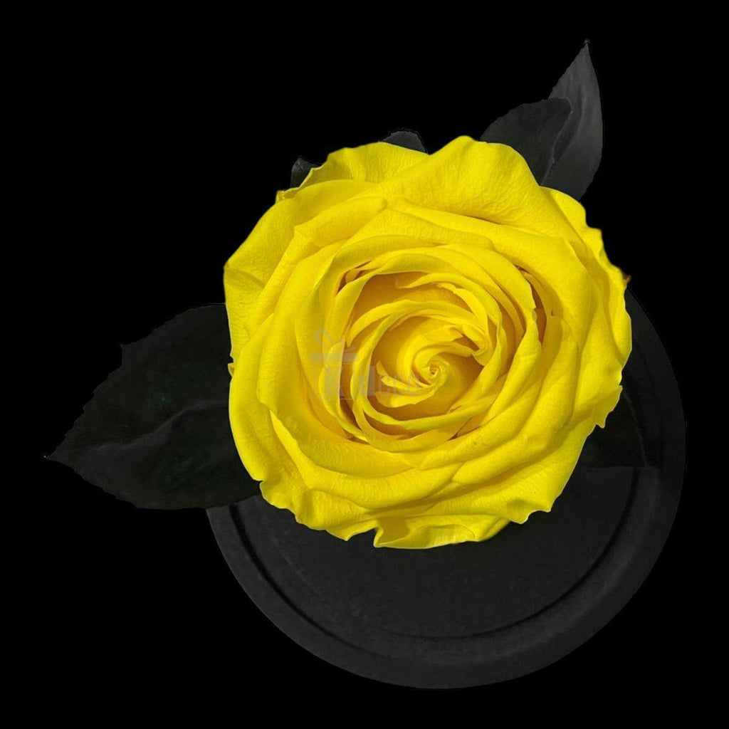 Detaliu de sus al Trandafirului Criogenat Galben Excepțional, floare naturală conservată, perfectă pentru aranjamente florale de lux.