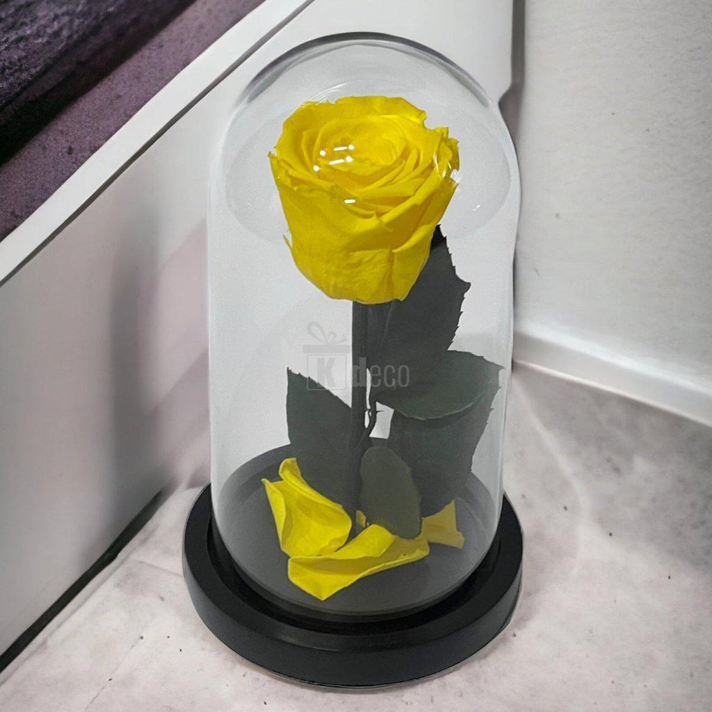 Trandafir Criogenat Galben XL Ø6,5cm in Cupola de Sticla - Kdeco.ro