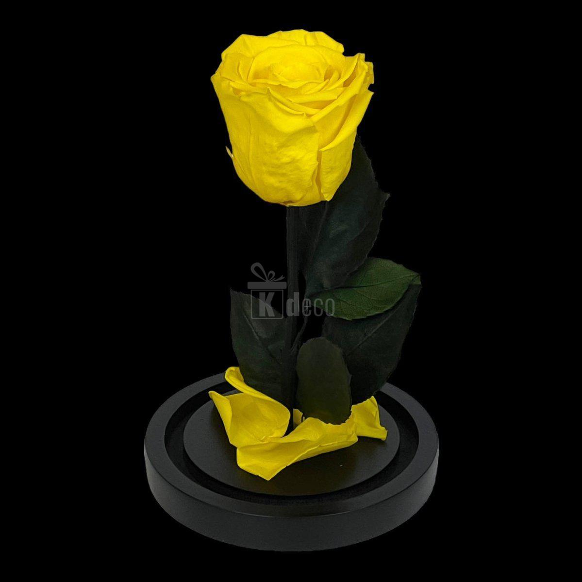 Trandafir Criogenat Galben XL Ø6,5cm in Cupola de Sticla - Kdeco.ro
