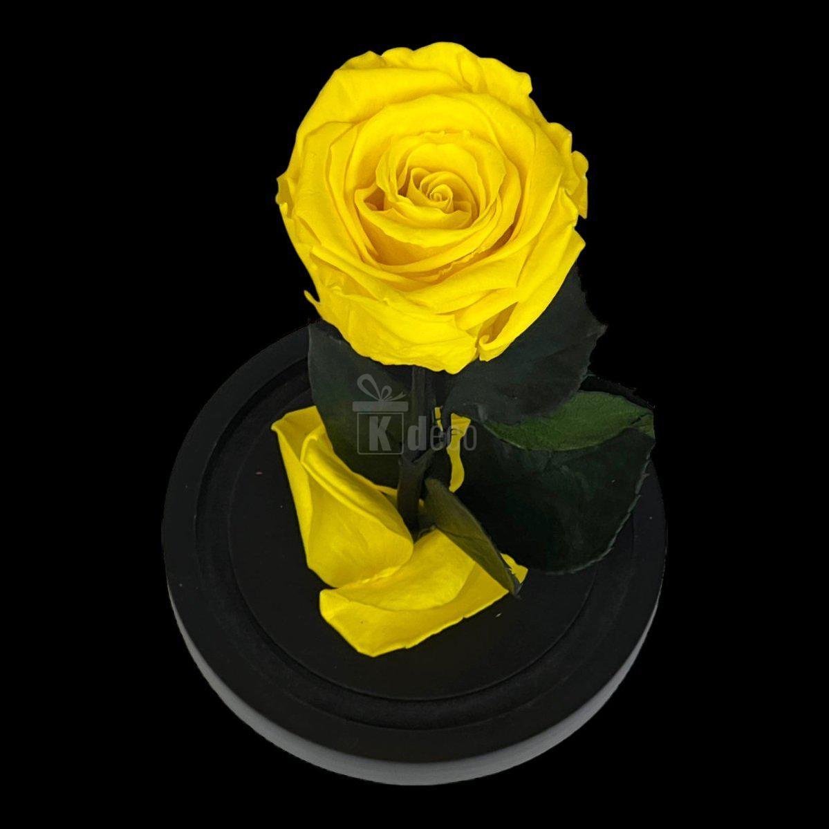 Trandafir Criogenat Galben XL Ø6,5cm in Cupola de Sticla - Kdeco.ro