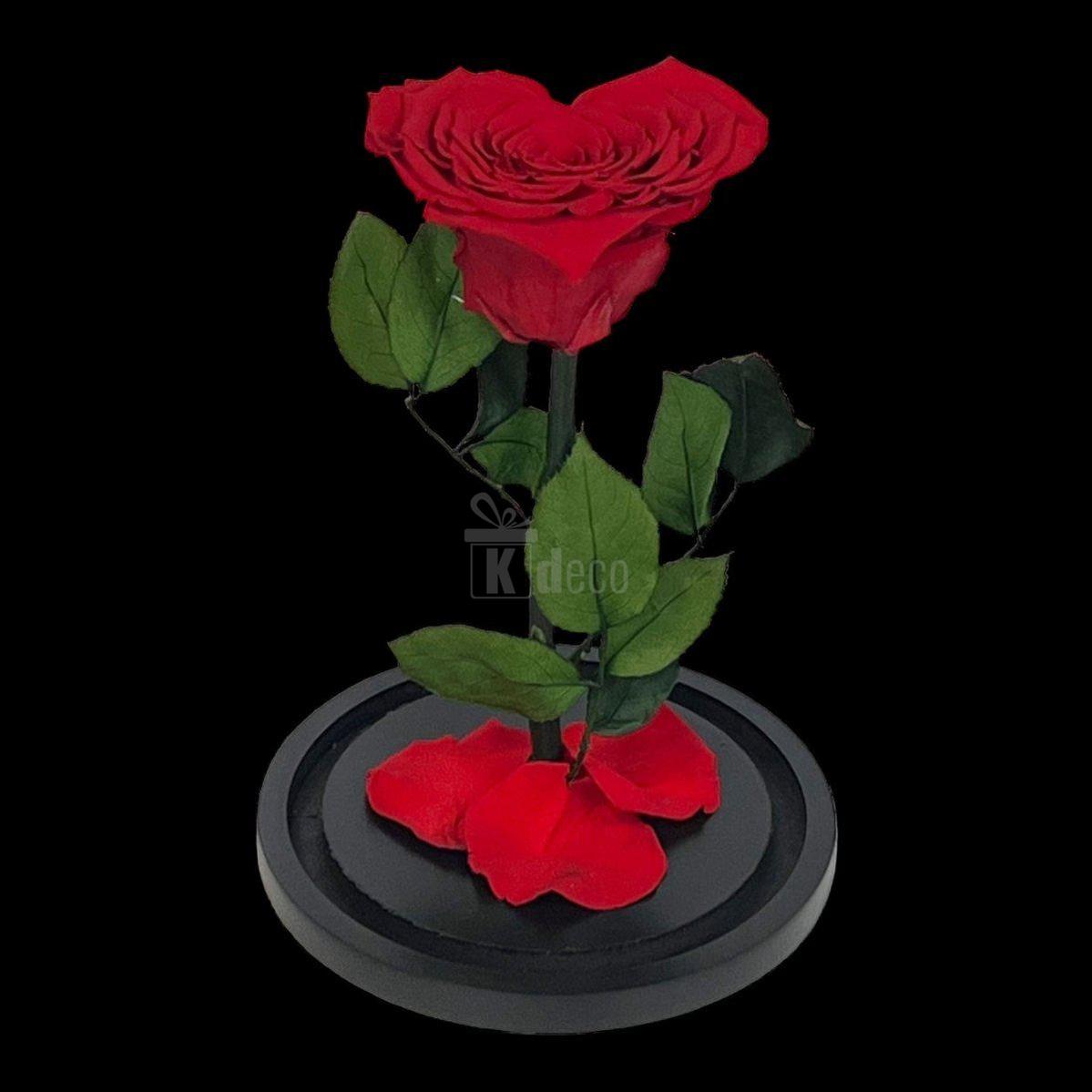 Trandafir Criogenat Inima Rosie, 15x25cm - Kdeco.ro