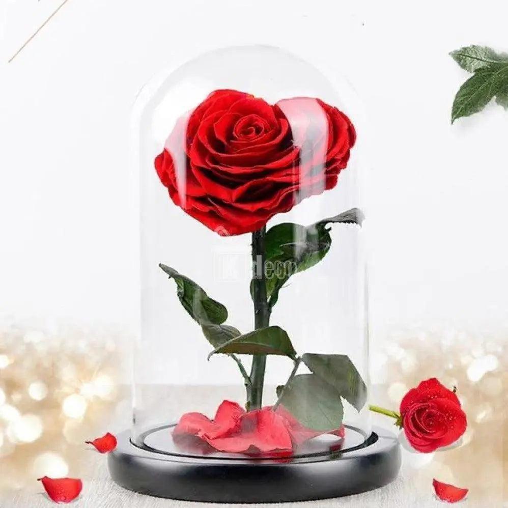 Trandafir Criogenat inima rosie Ø9cm in cupola sticla 15x25cm - Kdeco.ro