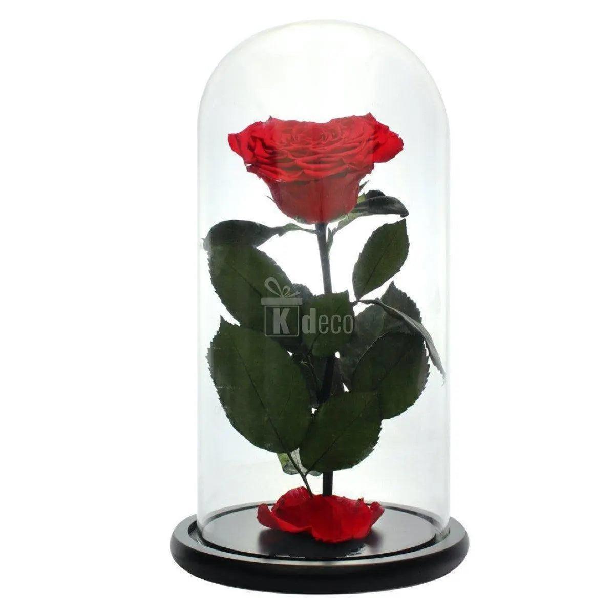 Trandafir Criogenat inima rosie Ø9cm in cupola sticla 15x25cm - Kdeco.ro