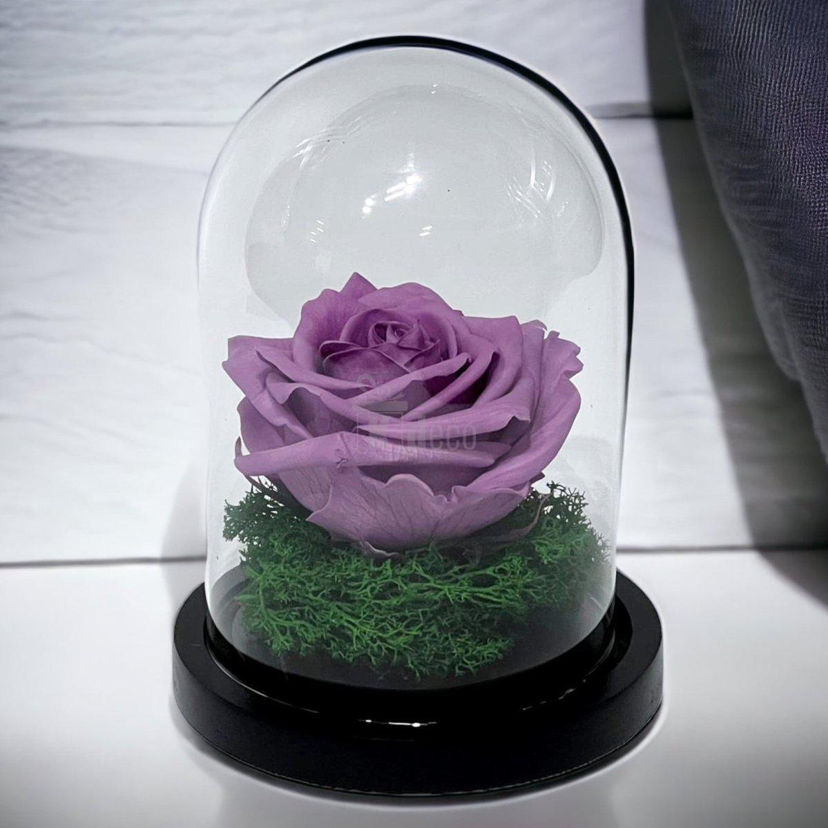 Trandafir Criogenat Premium Lila în Cupolă de Sticlă, 8cm, Personalizabil - Kdeco.ro