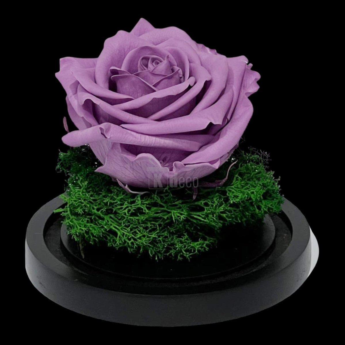 Trandafir Criogenat Premium Lila în Cupolă de Sticlă, 8cm, Personalizabil - Kdeco.ro