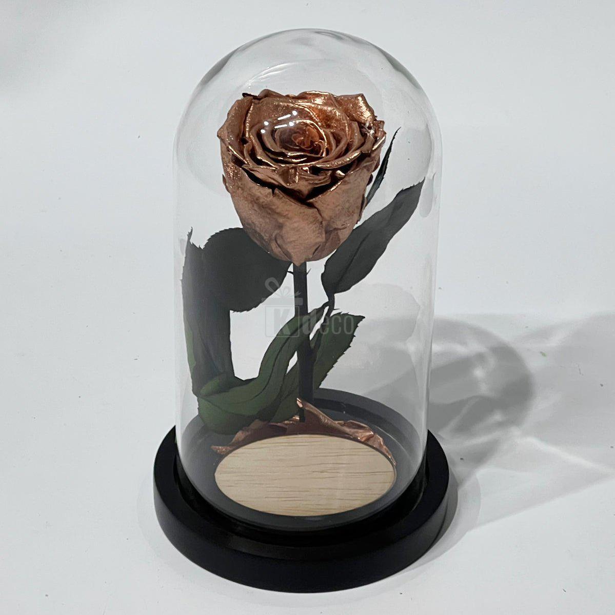 Trandafir Criogenat Lux XL Cupru Ø6.5cm în Cupolă 10x20cm - Kdeco.ro