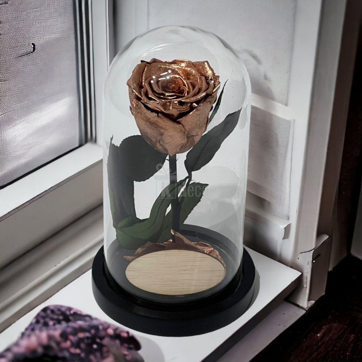 Trandafir Criogenat Lux XL Cupru Ø6.5cm în Cupolă 10x20cm - Kdeco.ro