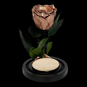 Trandafir Criogenat Lux XL Cupru Ø6.5cm în Cupolă 10x20cm - Kdeco.ro