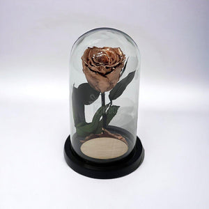 Trandafir Criogenat Lux XL Cupru Ø6.5cm în Cupolă 10x20cm - Kdeco.ro