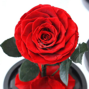 Trandafir Criogenat mare rosu Ø9,5cm in cupola 12x25cm - Kdeco.ro
