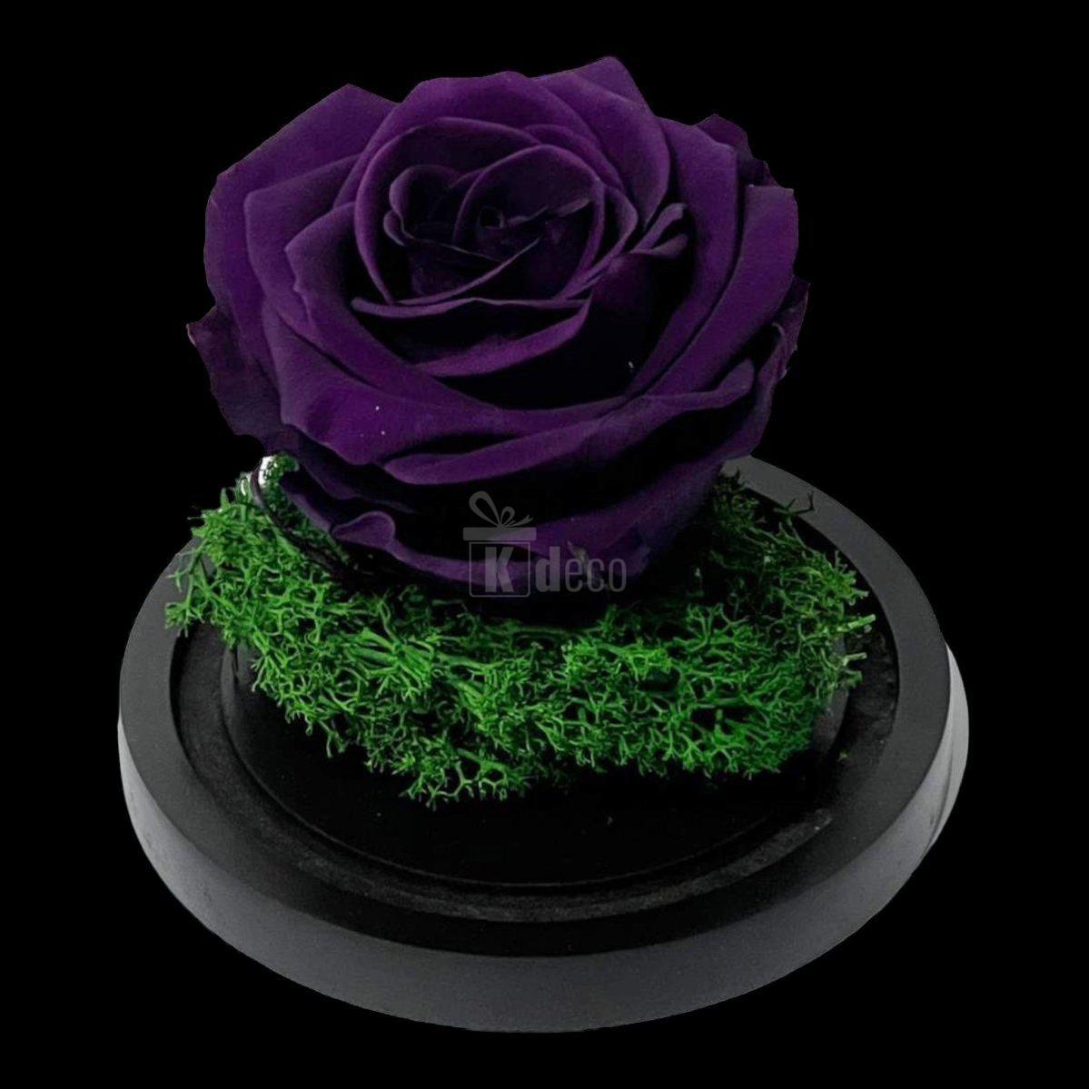 Trandafir Criogenat Premium Mov Inchis în Cupolă de Sticlă 8cm - Cadou Etern, Livrare Rapidă 24h - Kdeco.ro