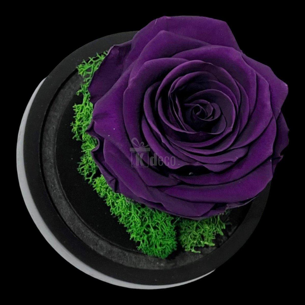Trandafir Criogenat Premium Mov Inchis în Cupolă de Sticlă 8cm - Cadou Etern, Livrare Rapidă 24h - Kdeco.ro