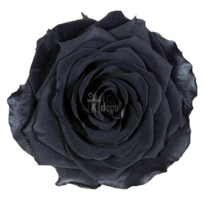 Trandafir Criogenat negru Bonita Ø9,5cm in cupola 15x25cm - Kdeco.ro