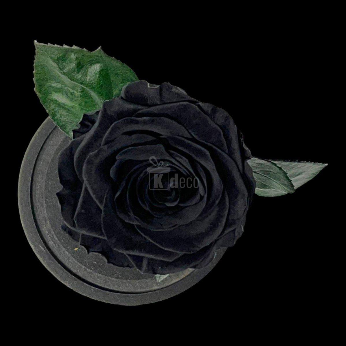 Vedere de sus a Trandafirului Criogenat Negru de Lux în suport rotund, detaliu floral impresionant pentru cadouri elegante și durabile.