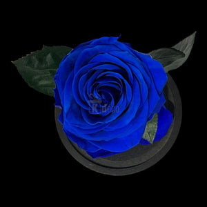 Trandafir Criogenat Nemuritor Albastru Premium în Cupolă de Sticlă 8cm - Kdeco.ro