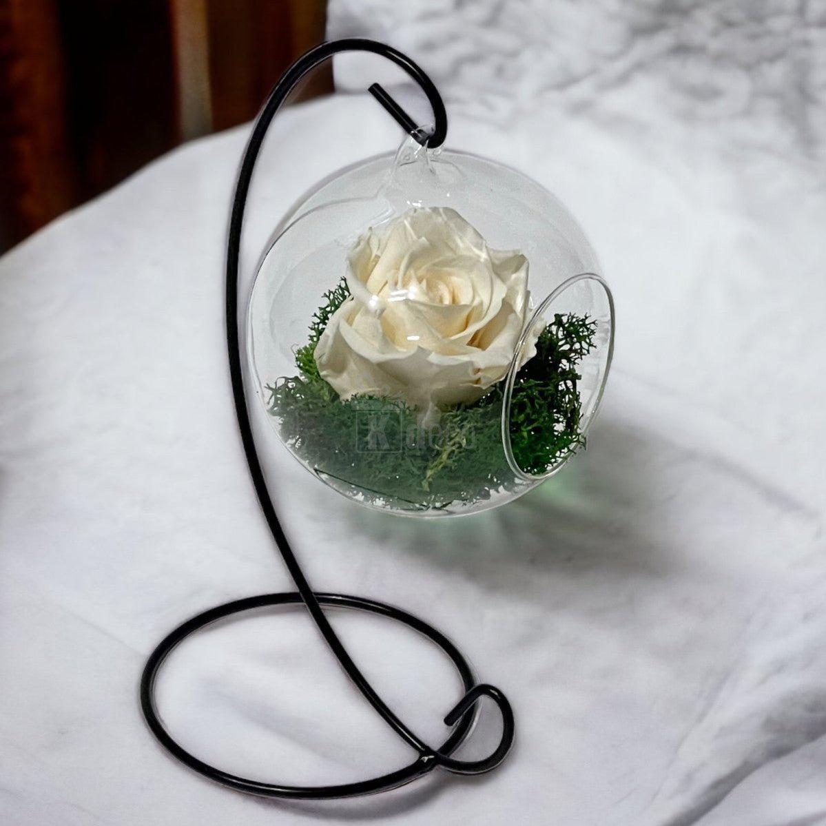 Trandafir Criogenat Nemuritor în Glob de Sticlă Suspendat 10cm, Crem, 25 Ani - Kdeco.ro