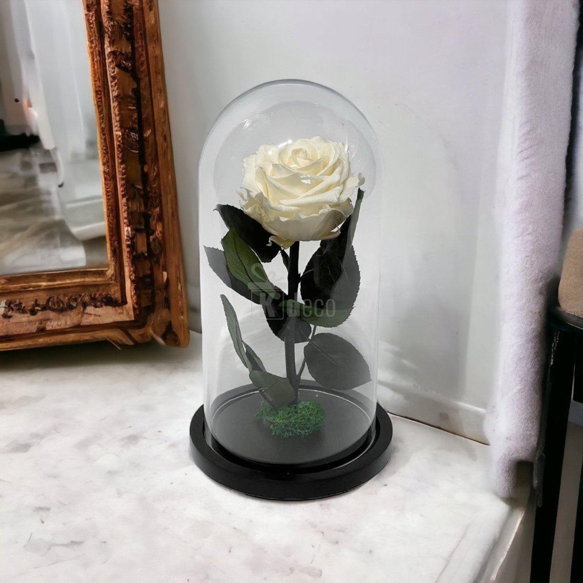 Trandafir Criogenat Nemuritor Premium Alb Sampanie în cupolă de sticlă, decor romantic pentru casă sau birou, cadou deosebit pentru ea.