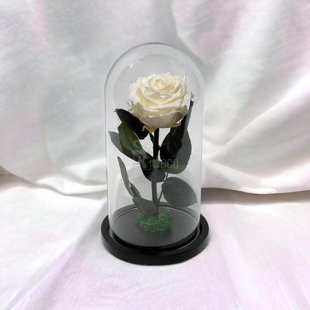 Trandafir Criogenat Premium Alb Sampanie sub cupolă de sticlă, 8cm, prezentat pe fundal alb, simbol al iubirii eterne și rafinamentului.