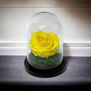Trandafir Criogenat Nemuritor Premium Galben - 8cm, Cupola de Sticlă - Kdeco.ro