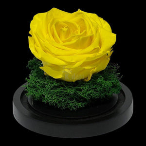 Trandafir Criogenat Nemuritor Premium Galben - 8cm, Cupola de Sticlă - Kdeco.ro
