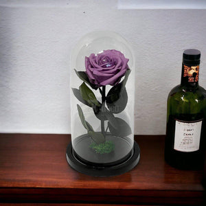 Trandafir Criogenat Nemuritor Premium Lila în Cupolă de Sticlă (8cm, 12x25cm) - Kdeco.ro